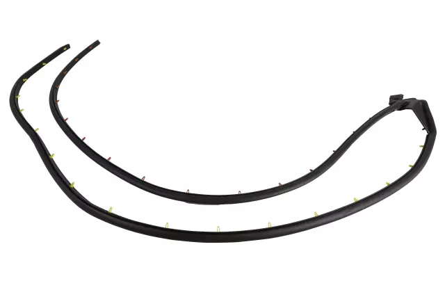 Front Passenger Side Door Weatherstrip - GM (84688859)