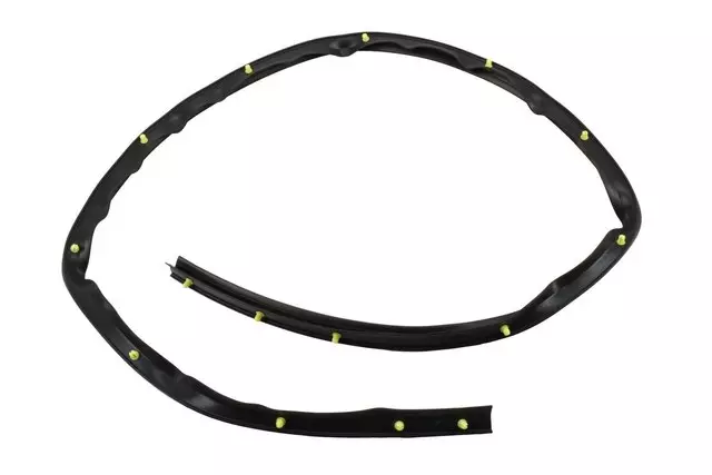 25790460 - Body: Lower Weather-strip for Chevrolet: Traverse | GMC: Acadia, Acadia Limited | Saturn: Outlook Image