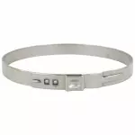 4N5Z3B478A - Driveline &amp; Axles: Cv Joint Boot Band for Ford: Focus Image