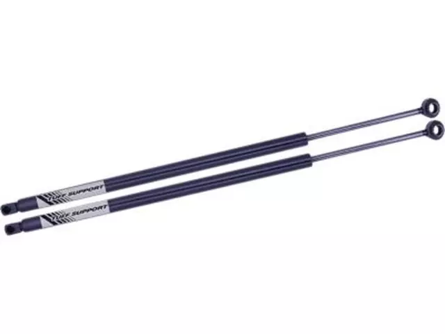 F2DZ16C826B - Body: Support Cylinder for Ford: Taurus | Mercury: Sable Image