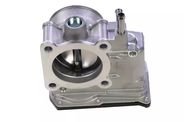 Fuel Injection Throttle Body with Throttle Actuator - GM (19204856)