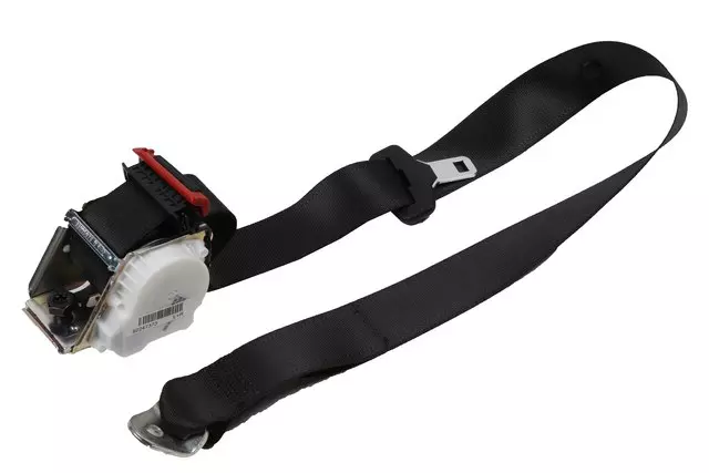 19205510 - Electrical: Outer Belt Assembly for Chevrolet: Caprice Image