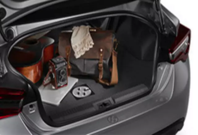 PT2061817020 - : Cargo Mat, Carpet, Black for Toyota Image