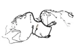 84611080 - Electrical: Engine Harness for GM Image