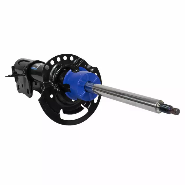 Motorcraft™ Suspension Strut - Ford (AST-806100)