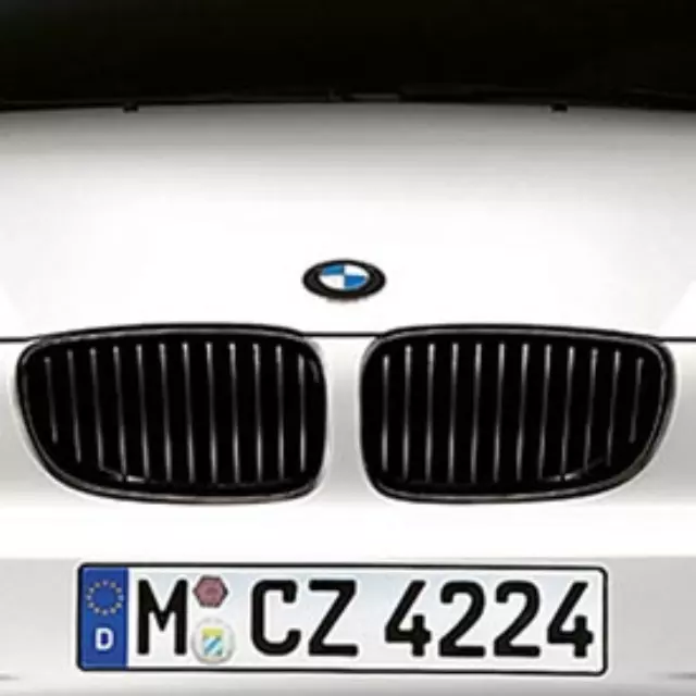 SINGLE RIGHT SIDE GRILL NOT A SET OF TWO MUST ORDER RIGHT AND LEFT SIDES Bmw Performance Black Kidney Grille - BMW (51-71-2-146-912)