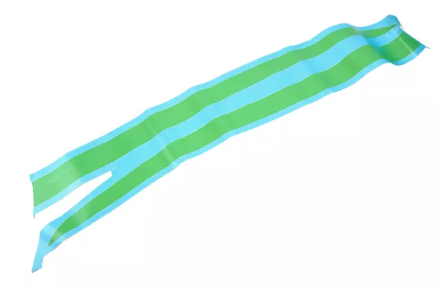 Shock Hood Decal - GM (84791103)