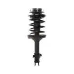 818216 - : PRT 818216 Suspension Strut and Coil Spring Assembly for PRT PERFORMANCE RIDE Image