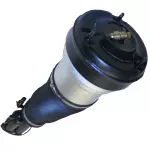AS7333 - : Westar Air Suspension Strut for WESTAR Image
