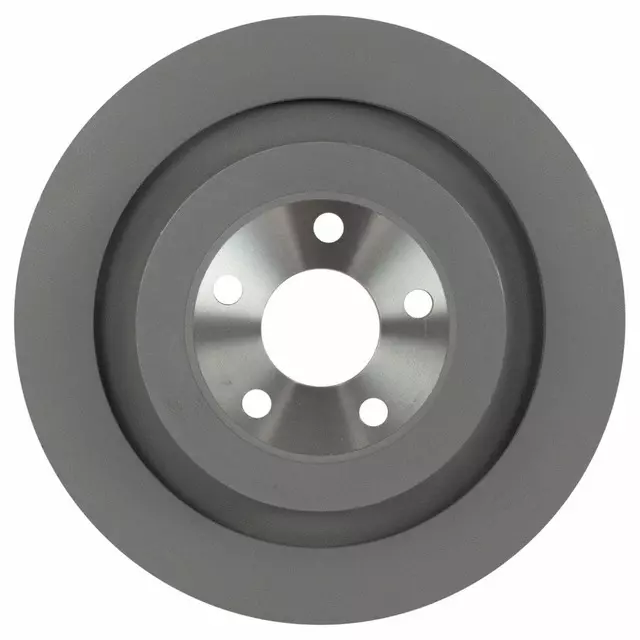 Disc Brake Rotor - Ford (F2GZ-2C026-AB)