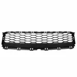 FB5Z17K945AA - : OEM NEW 2016-2018 Ford Explorer Front Lower Grille FB5Z17K945AA for Ford: Explorer, Police Interceptor Utility Image