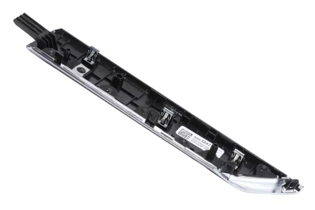 84631247 - : Door Applique for Chevrolet: Silverado 1500, Silverado 1500 LTD, Silverado 2500 HD, Silverado 3500 HD Image