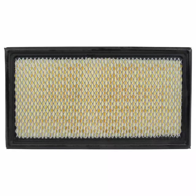 Air Filter - Ford (2U2Z-9601-AA)