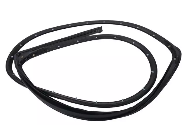 Door Weather-Strip - GM (42785951)