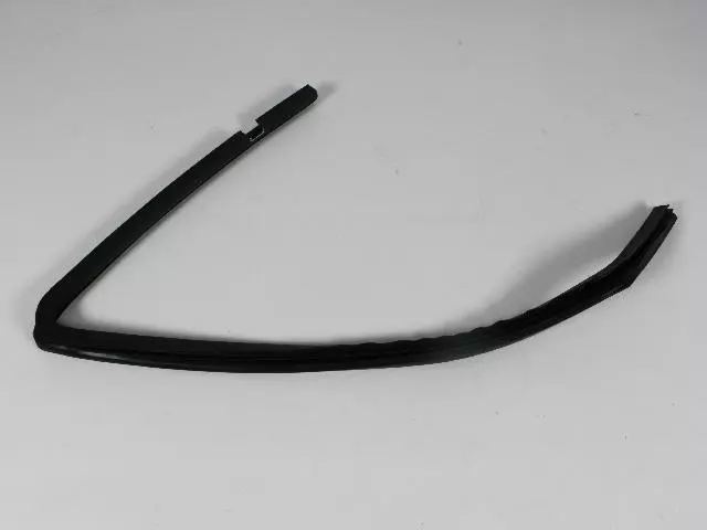 55394052AL - : Front Door Glass Seal, Right for Jeep: Grand Cherokee Image