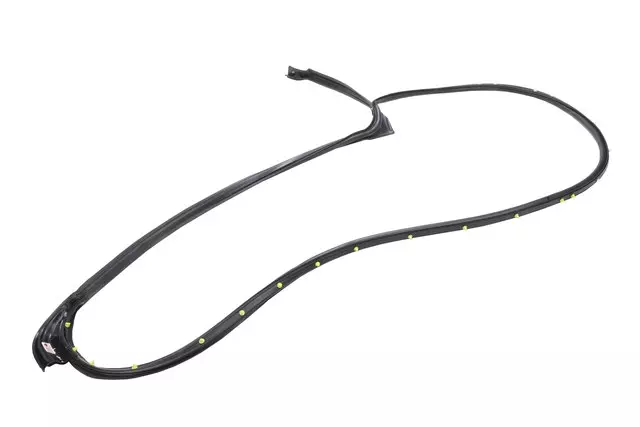 22960753 - Body: Door Weather-strip for GM Image