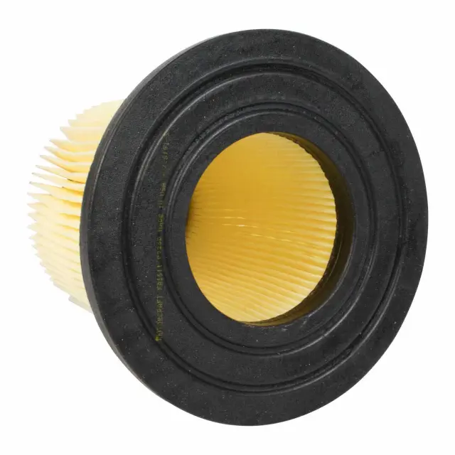 Element Assembly Air Cleaner - Ford (F4ZZ-9601-AX)