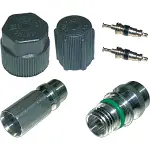 1311571 - : gpd Cap and Valve Kit 1311571 for GLOBAL PARTS DISTRIBUTORS Image