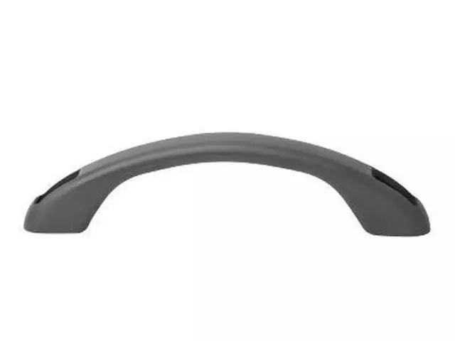 OEM NEW 04-11 Ford Ranger Interior Roof Headliner Grip Assist 4L5Z-1031406-AAB - Ford (4L5Z-1031406-AAB)