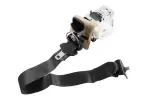85102669 - Body: Seat Belt Lap And Shoulder Belt for GM Image