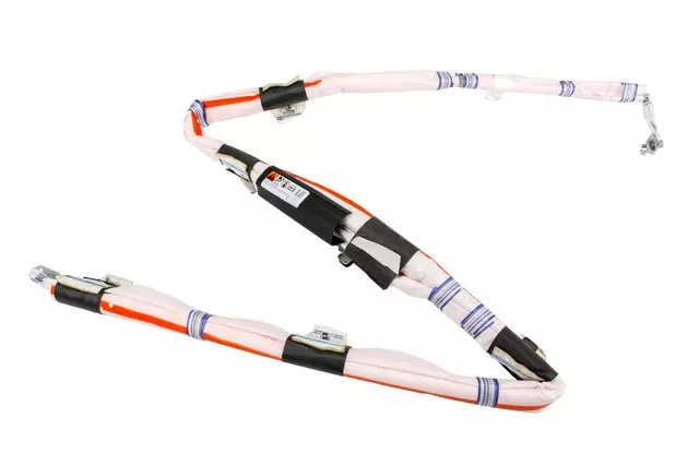 42454861 - Electrical: Head Air Bag for GM Image