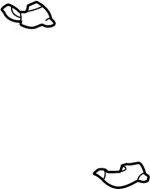 205152J200 - : Heat Shield for Infiniti Image