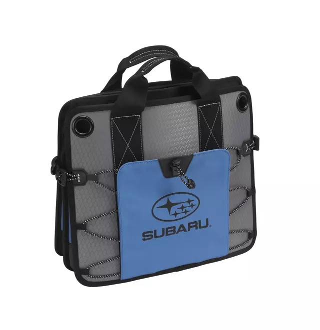 Center Armrest Extension - Ivory - Subaru (J2010AG000WB)