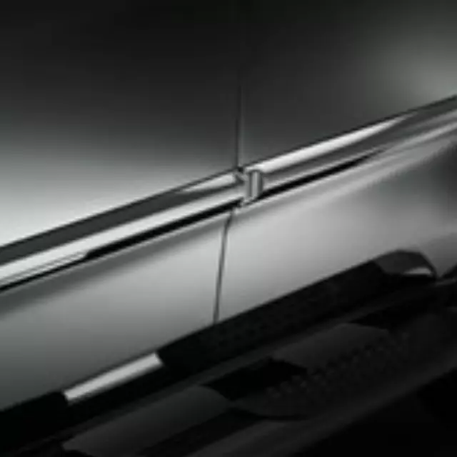 Body Side Molding - Dark Cherry Pearl - Acura (08P05-STX-281)