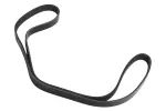 12688041 - : Accessory Drive Primary Belt for ACDelco Image