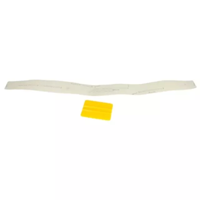 Rear Bumper Protector - Ford (BE8Z-17B807-AA)