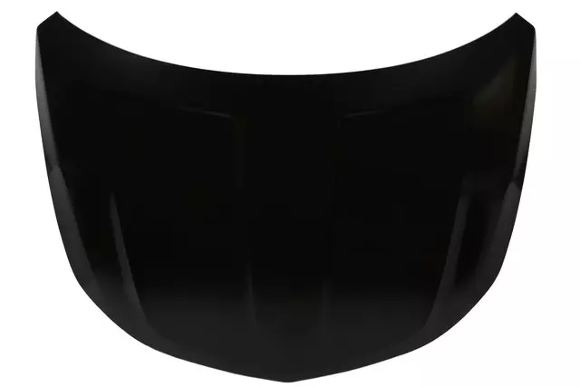 Hood - GM (84380741)