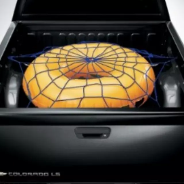 Bed Cargo Net - GM (12343598)