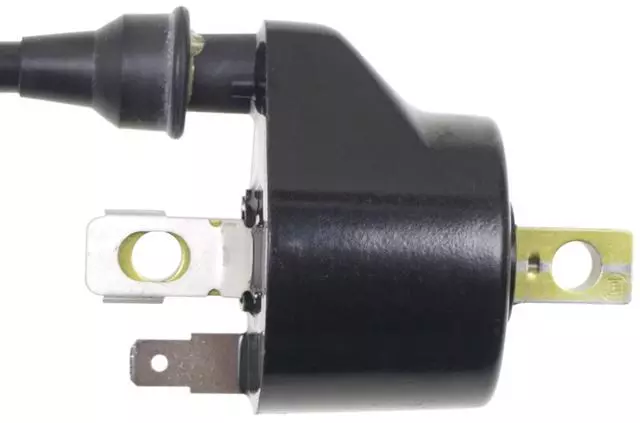 19161998 - : Coil for GM Image