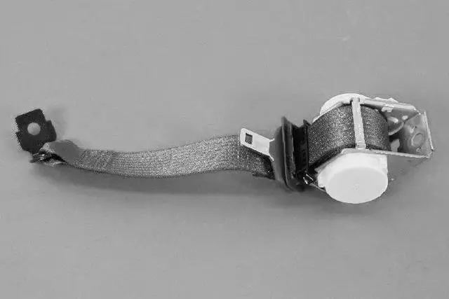 2nd Row Seat Belt And Retractor, Center - Mopar (1SV68LA8AC)