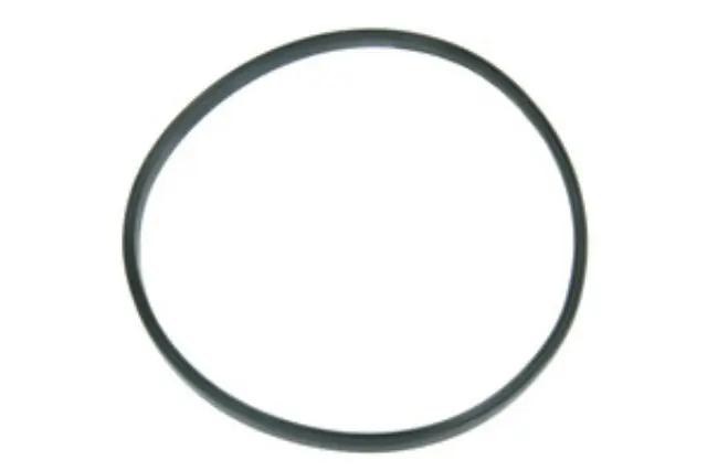 NI0515878 - Air Intake &amp; Fuel Delivery: Autotecnica Fuel Pump Seal for URO Image