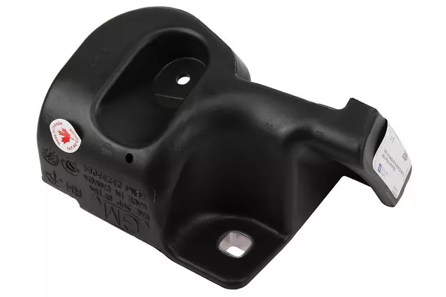 Passenger Side Assist Step Front Extension - GM (23233084)