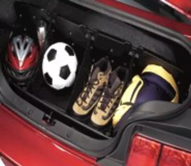 EE5Z78115A00B - : Ford Mustang Cargo Organizer - Soft-Sided Standard for Ford Image