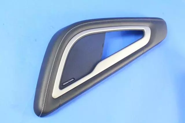 Door Armrest - Mopar (5QZ18YSAAA)