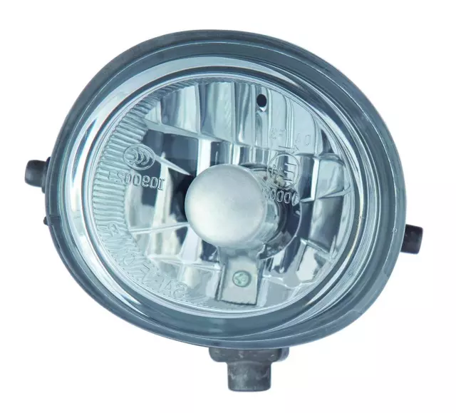 3162022RAQ - : Fog Light Assembly for Maxzone Vehicle Lighting Image