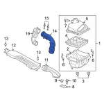 LX6Z9B659L - : 2020-2024 Ford - Inlet Hose for Ford: Bronco Sport, Escape Image