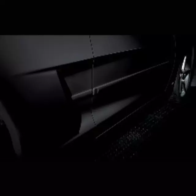 Bodyside Side Molding - Black - GM (17802207)