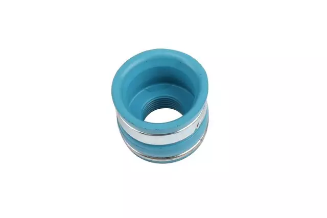88891774 - Engine: Intake Valve Seals for Buick: LaCrosse, LeSabre, Lucerne, Park Avenue, Regal, Riviera | Chevrolet: Camaro, Impala, Lumina, Monte Carlo | Oldsmobile: 88, 98, Intrigue, LSS, Regency | Pontiac: Bonneville, Firebird, Grand Prix Image