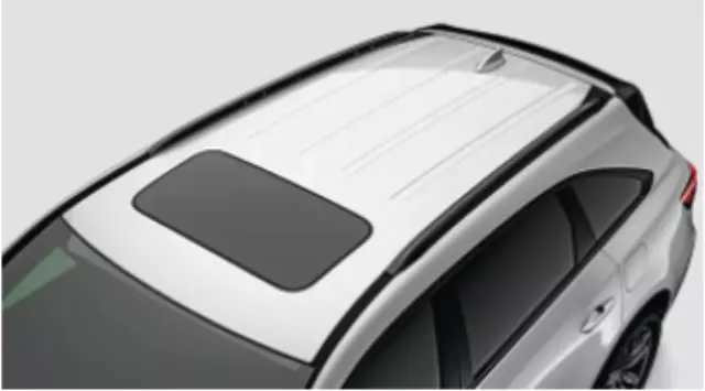 8L02TZ5200B - Cargo Management: Roof Rails, Black for Acura Image