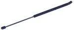 612846 - : Hood Lift Support for Tuff Support Image