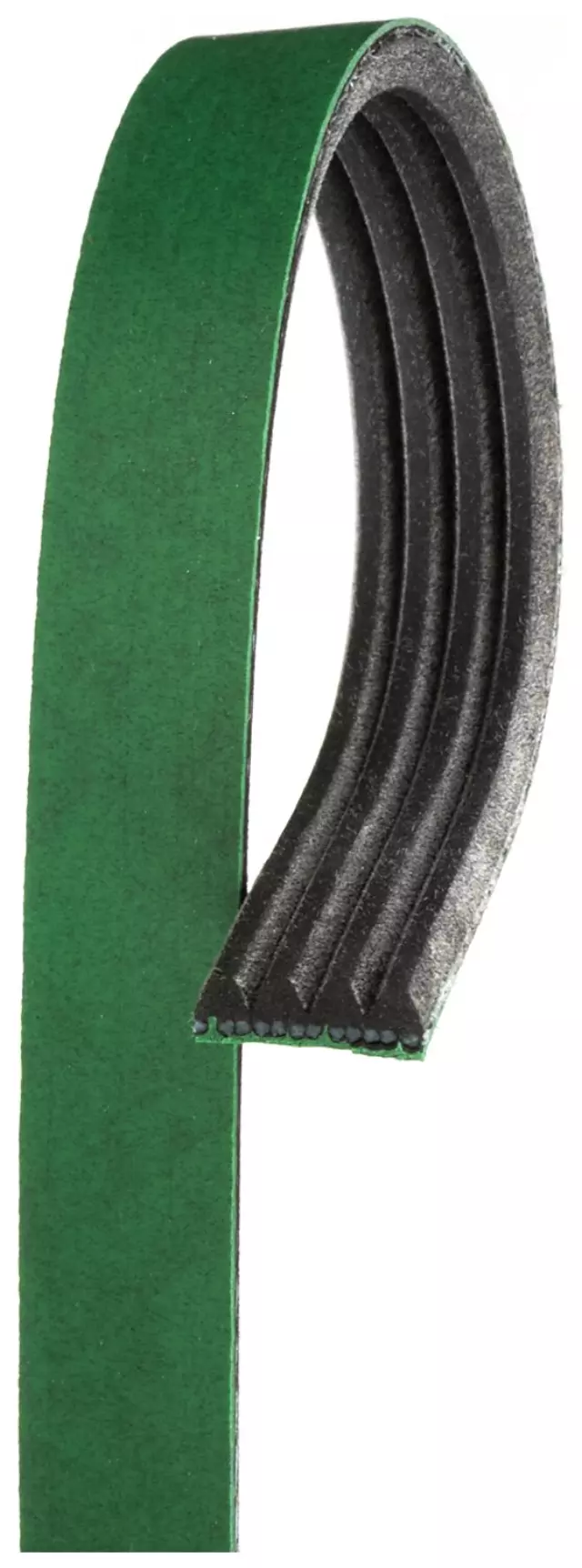 Belt - GM (19163445)
