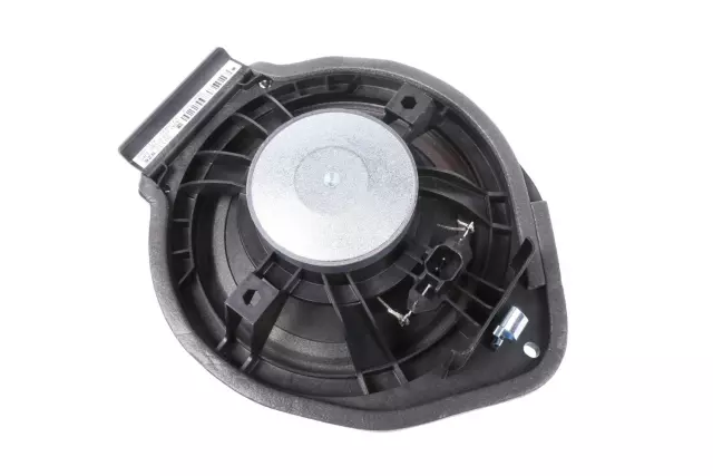 39117926 - Body: Rear Dr Speaker for GM Image