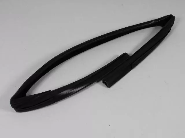 Front Door Glass Run Weatherstrip, Left - Mopar (5067769AD)