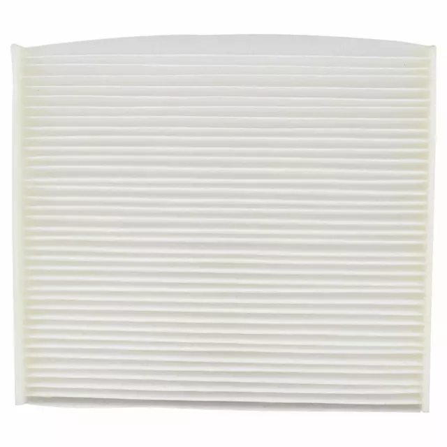Filter - Ford (4R3Z-19N619-AC)