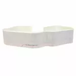 GL3Z16255A37BA - Body: Stripe for Ford: F-150 Image