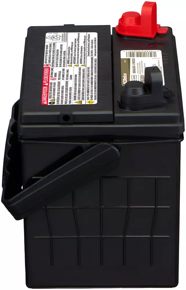 Vehicle Battery - ACDelco (U1RG300)